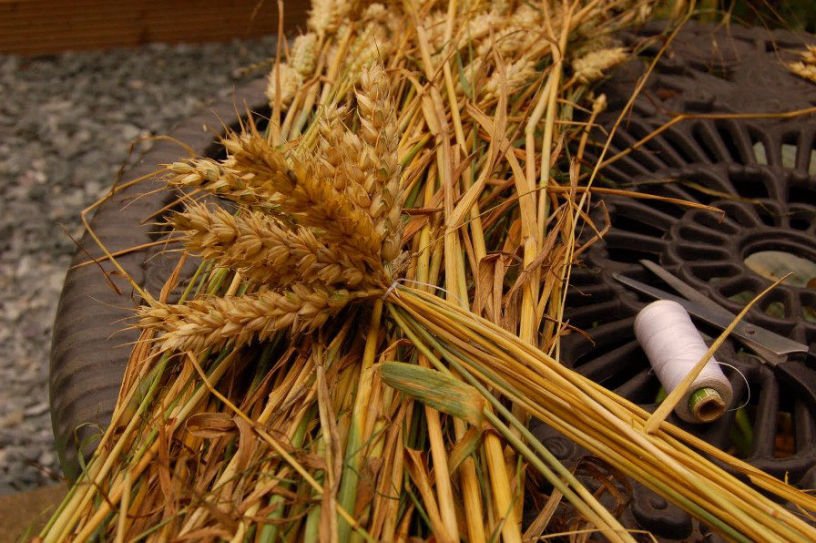 A corn dolly.