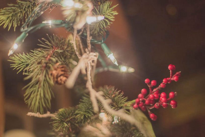 Holly berries..
